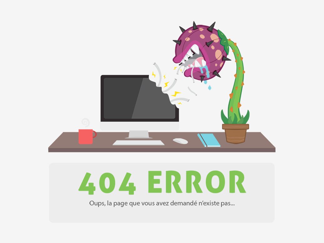 Erreur 404